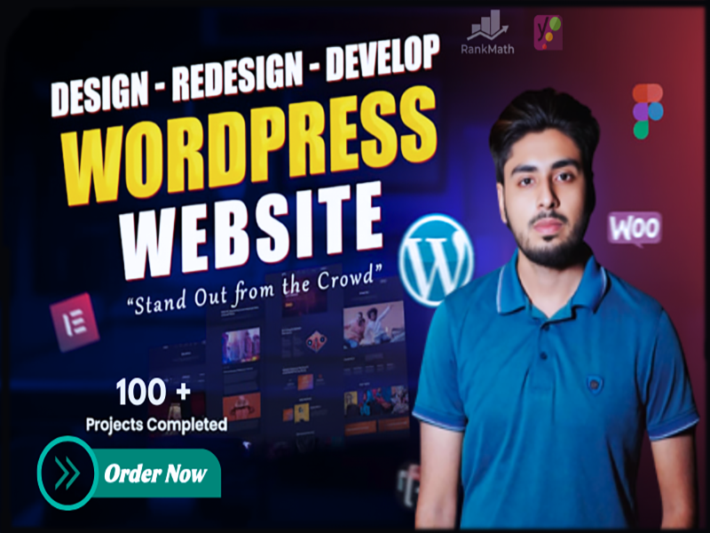 I will build, design, redesign, customize or update your professional WordPress website