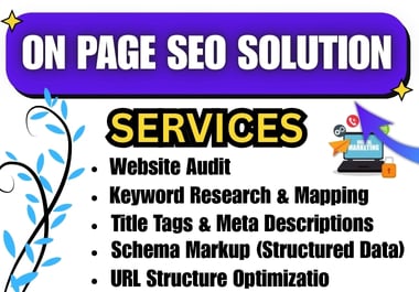 I come up with how to solve on page seo solution .